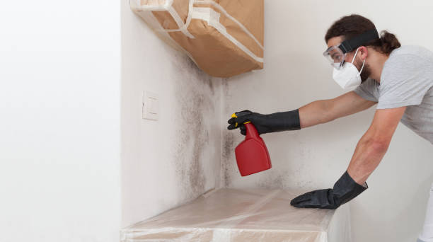 Professional Attic Mold Removal technician working in Rockaway, NJ