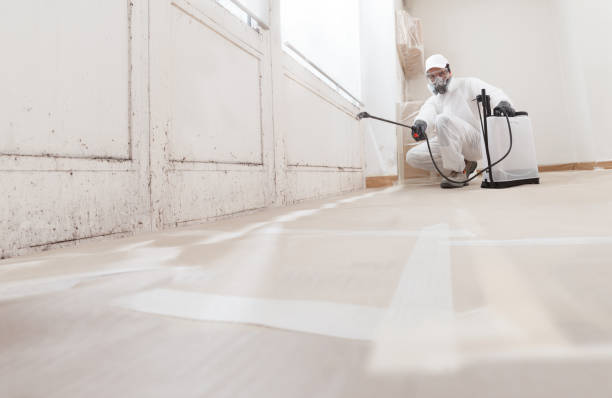 24/7 Emergency Attic Mold Removal experts in Rockaway, NJ